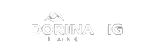 Endorphina Logo - Spieleanbieter bei XON Casino